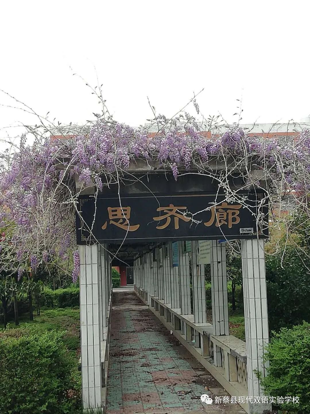 新蔡现代双语实验学校,新蔡县现代双语实验学校老照片