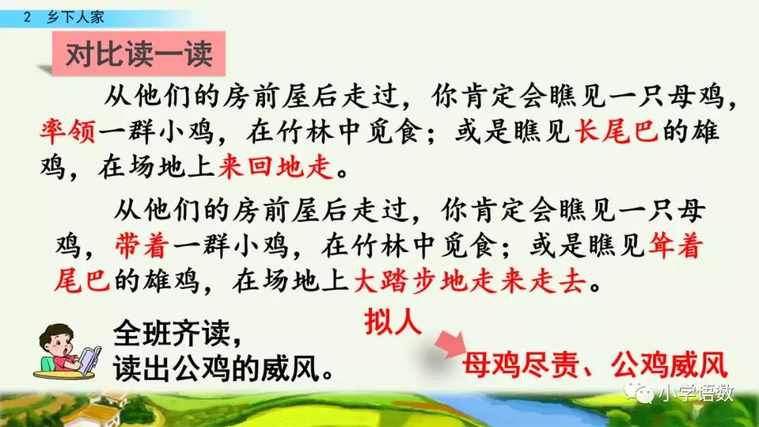 四年级下册乡下人家小练笔350字,四年级语文下册繁星精讲教学视频