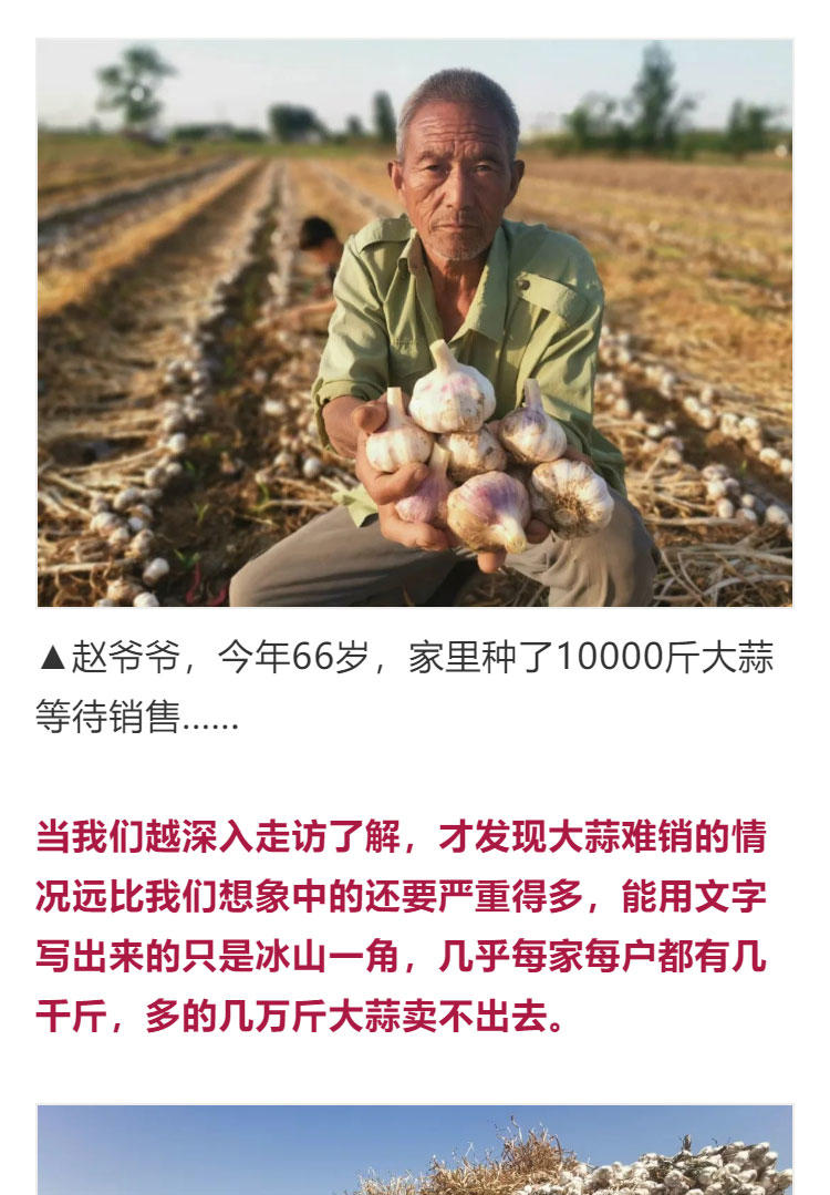 鍔╁啘鐧惧崄涓囦憨婊為攢澶ц挏,绱毊澶ц挏椴滆挏鍔╁啘5鏂よ