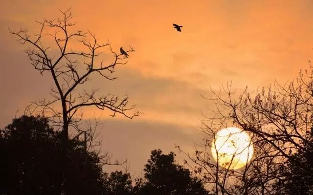 苏轼的落寞与孤寂,从踌躇满志的少年到郁郁不得志