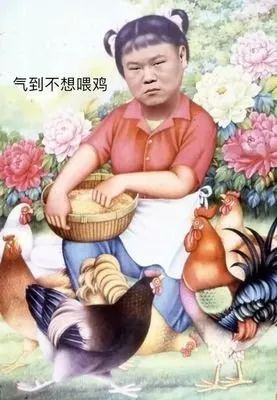 破马张飞骑驴,破马张飞怎么样