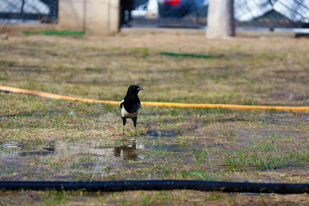 走在春天里简谱,歌曲走在春天里