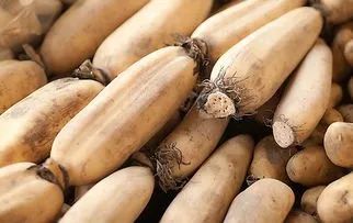 鼻干喉痒、咳嗽、头皮屑多...照着吃，整个秋冬不干不燥不生病