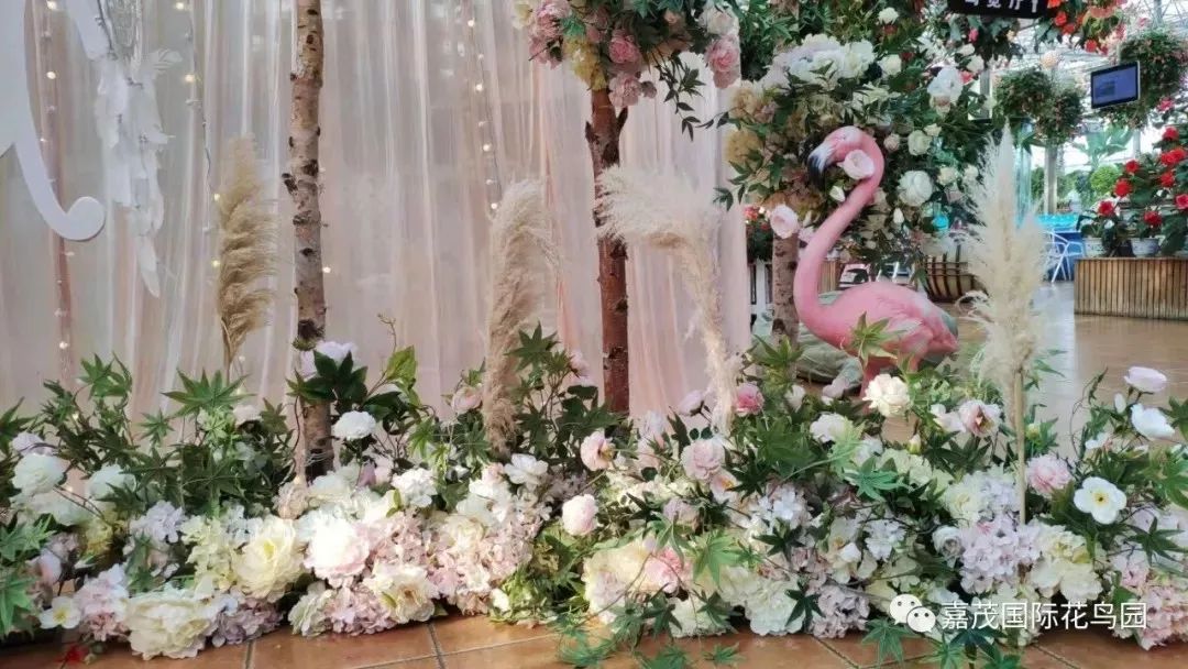 江阴嘉茂国际花鸟园,江阴嘉茂国际花鸟园什么时候再开