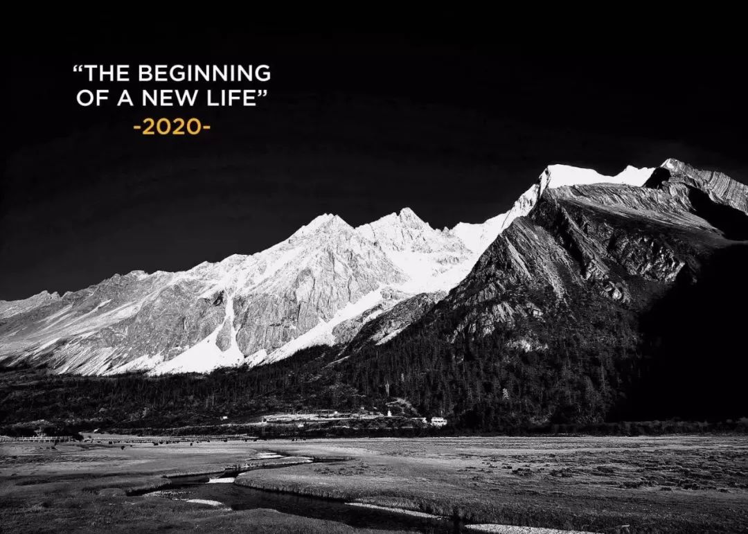 点赞他们的高光时刻,大家用手机拍出过什么好看的照片