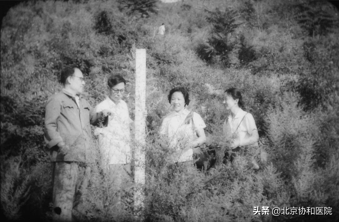 主任话科史|变态反应科王良录：前辈高山仰止，后学砥砺前行