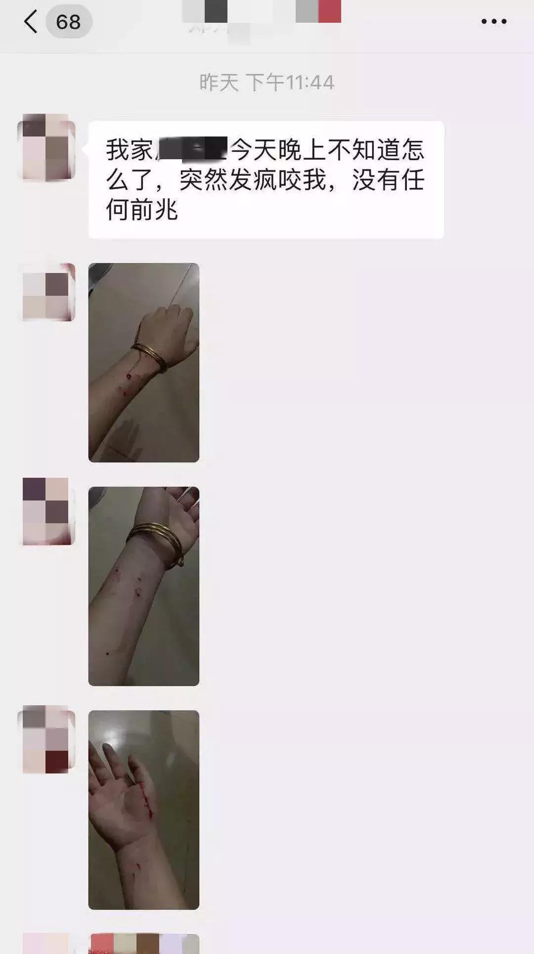 养了九年的猫突然对我有攻击性,养了两年的猫对我特别防备