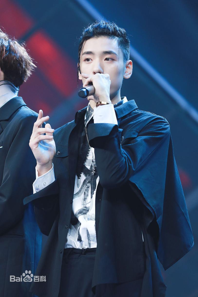 中国歌手王菲排名,王菲是有实力的歌手