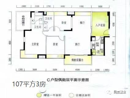 南山顶流学位科技园南｜南外高新最强攻略（下）