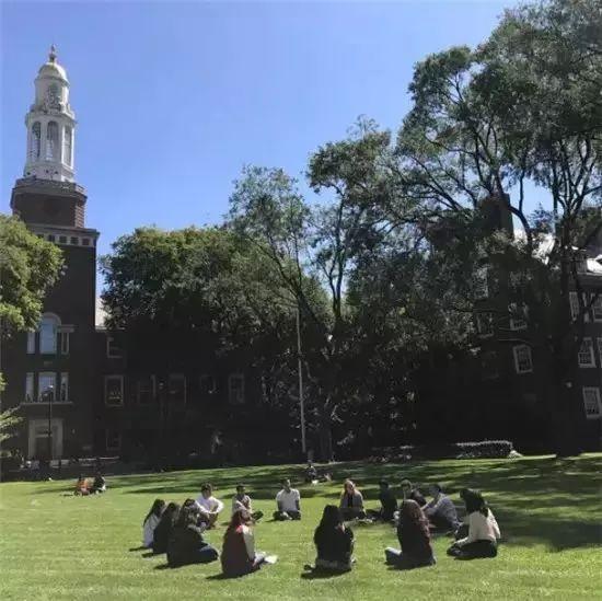 留学生圈子真实生活,留学生的社交重要吗
