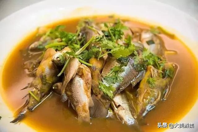 浍沟镇鸬鹚文化节,灵璧鸬鹚捕鱼节