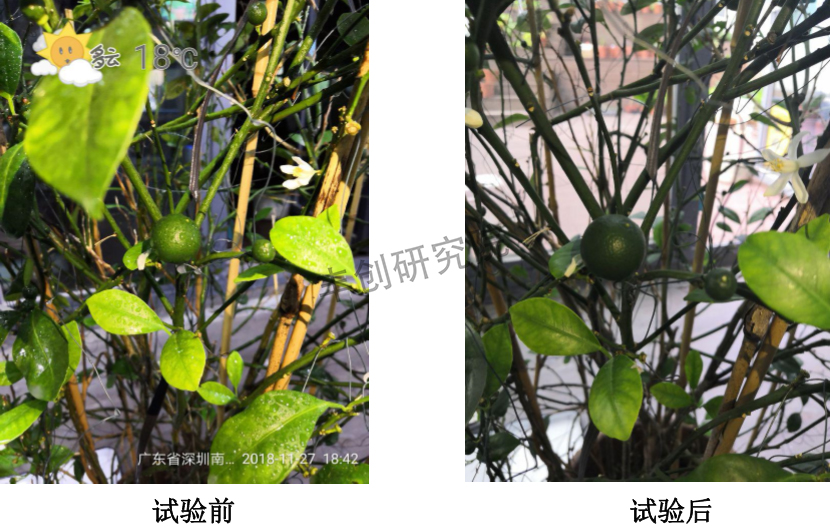 杀螨剂药肥,杀螨农药混剂