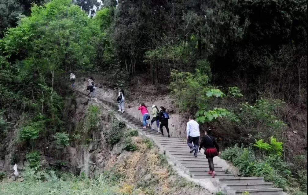 青白江十大健身地,青白江区体育锻炼的地方