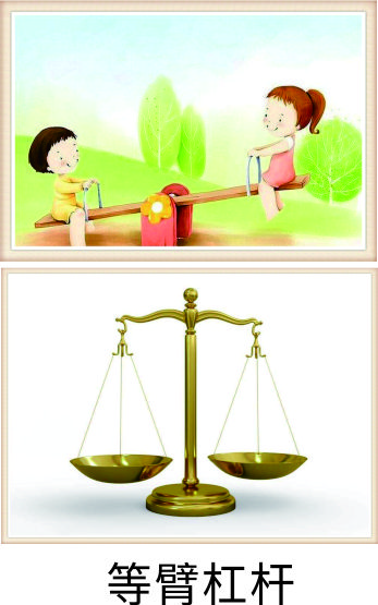 探究杠杆平衡规律科学实验,有趣的物理天平小实验