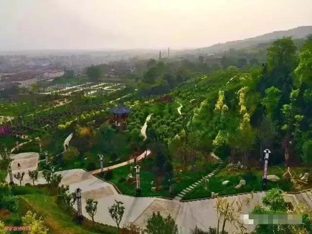 乡镇大妈大叔们是如何互联网化的？|笔记侠调查