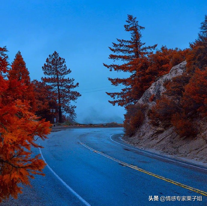 情感咨询|栗子姐每日情感问答(0720)