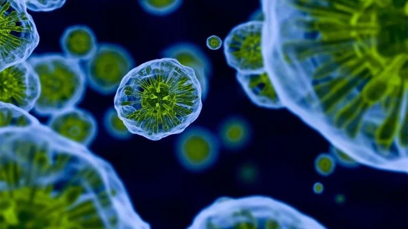 癌症病人没胃口吃什么食物好,癌症病人没食欲吃什么药