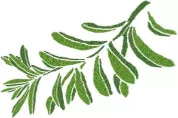 烹饪菜肴用的香辛料,料理必备调味料