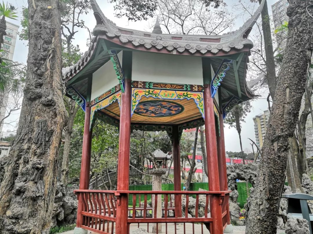 成都最新公园消息,成都陆续开放的公园