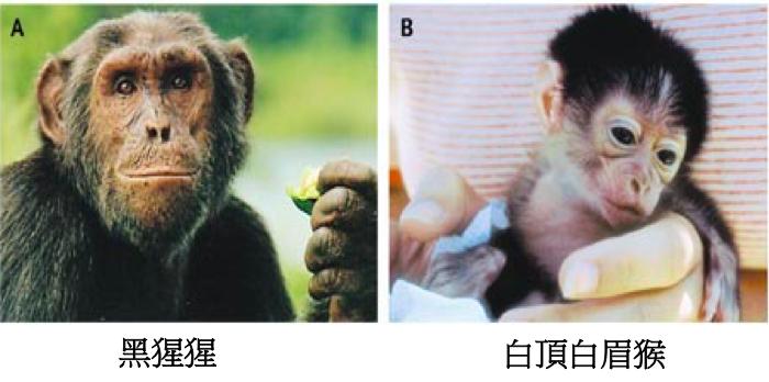 金冬雁教授对此次新冠的讲解,金冬雁新冠