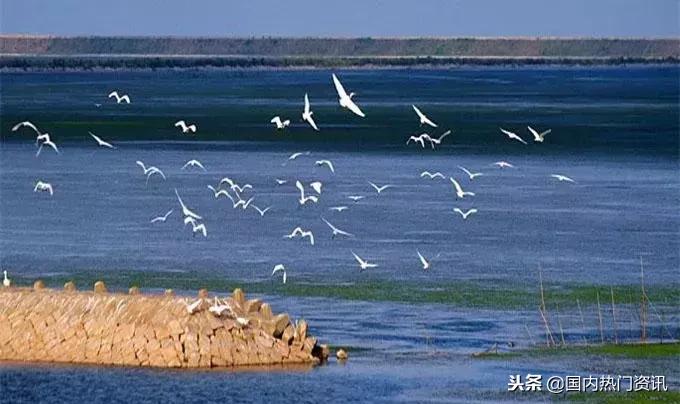 上海自驾游免费景点,2021上海亲子游必去的14个景点