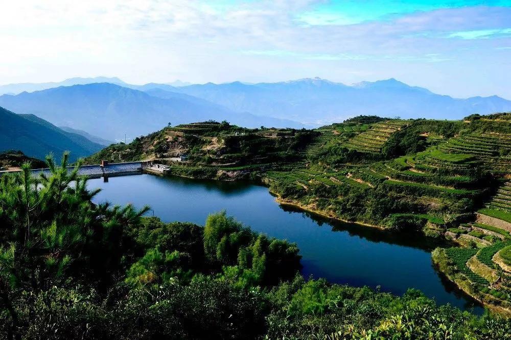 厦门同安周末踏青好去处,厦门岛内踏青景点大全