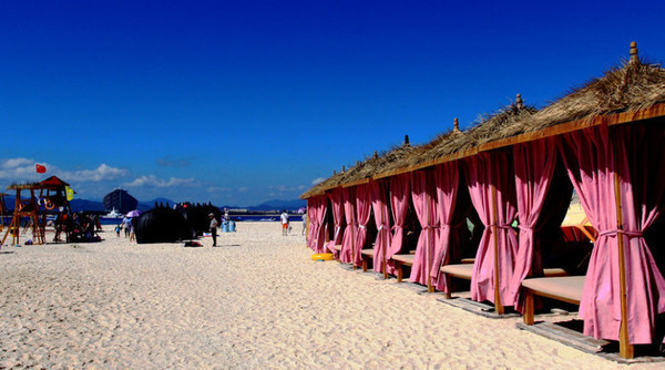 我的海南之旅作文,从海口到三亚感受海南的无限魅力