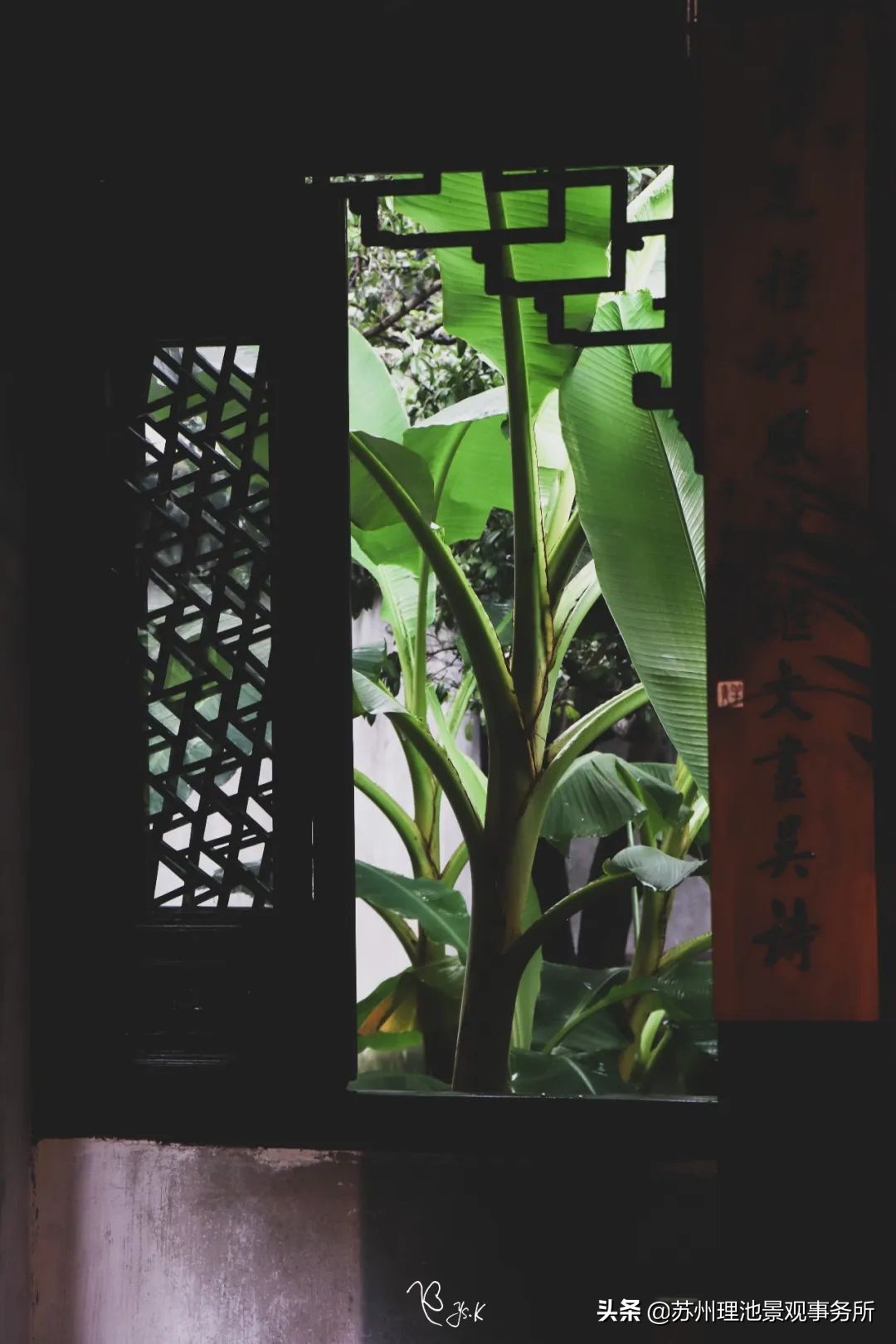 给我讲解一下拙政园的来历,拙政园最完整的讲解