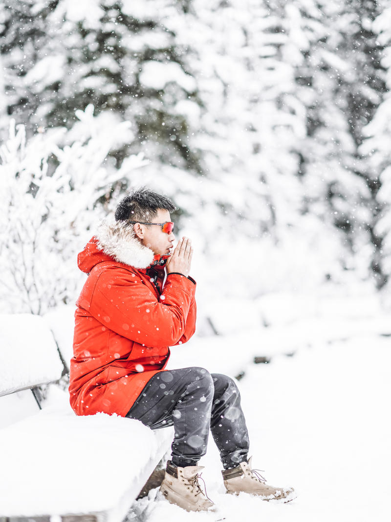 加拿大魁北克冰雪节,加拿大艾伯塔省节
