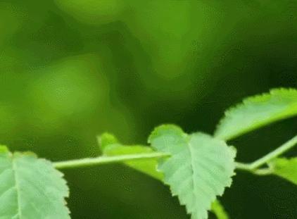 没想到日本国宝级画家，竟过着这样的生活！