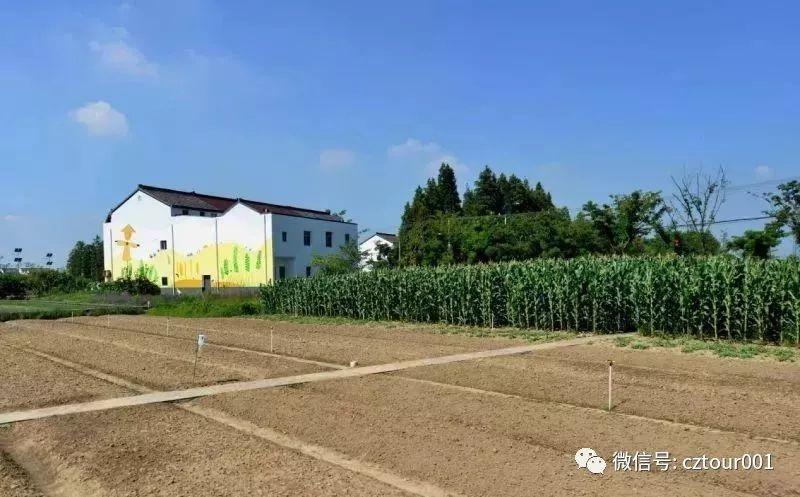 常州这10个被全省表彰的“网红村”、“创意园”，你去过吗？