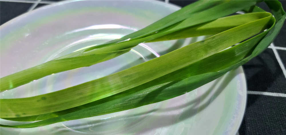 美的471L冰箱测评,美的541冰箱是双循环吗