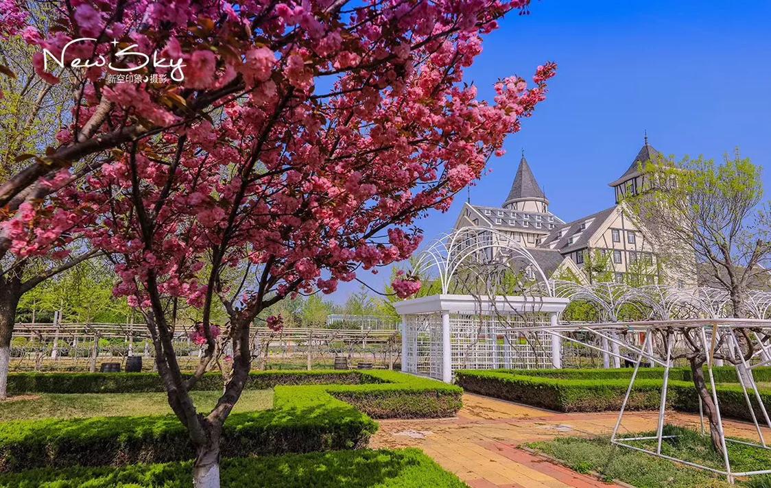 烟台张裕酒庄参观推荐,烟台打卡网红景点月亮湾