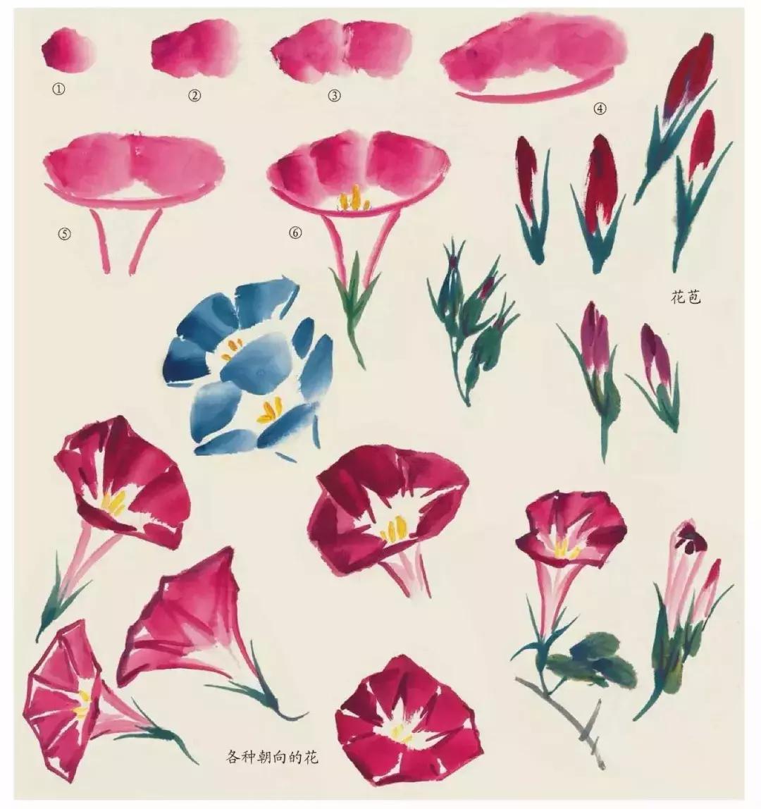 国画中各种花卉的画法,国画花卉画法步骤视频教程