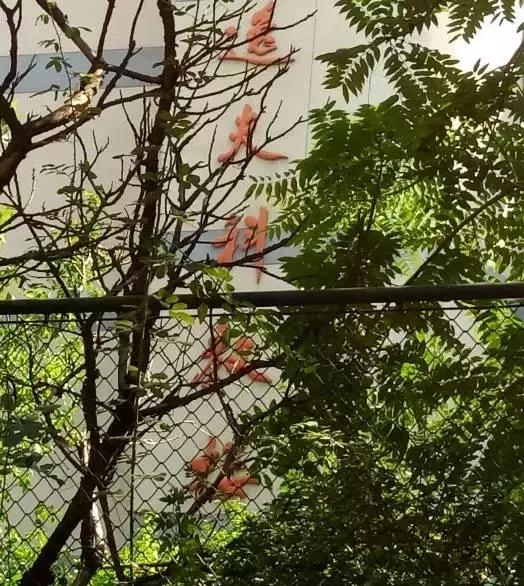 天津最牛的中学是哪个,天津中学排名2020完整版