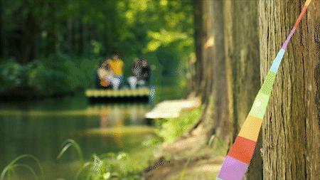 森氧之地，秋游必选！金湖万亩水上森林，真的别有趣味