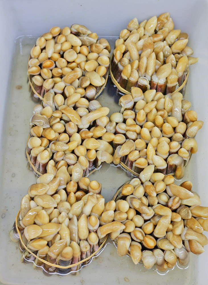 三亚小胡子川味海鲜好不好,三亚好吃的小胡子川味海鲜