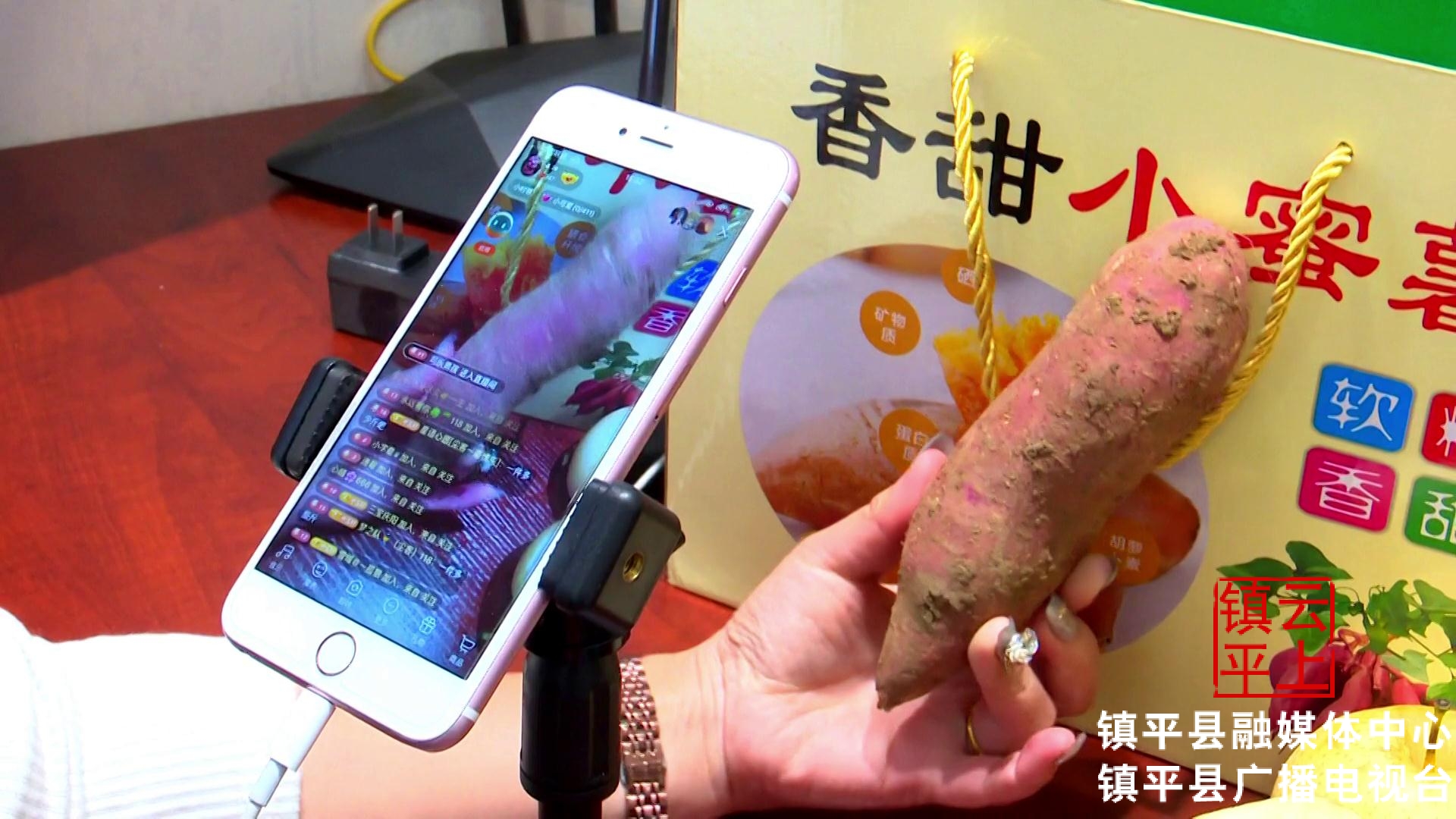 镇平县电商发展情况,镇平电商产业怎么发展起来的