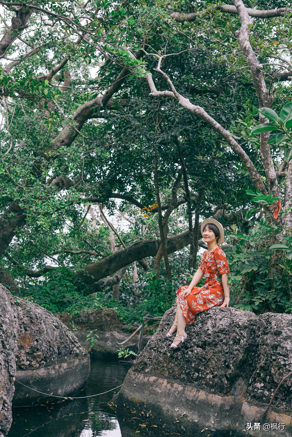 被猴子袭击，门票昂贵，拍照被轰，被我全程吐槽的三亚到底值不值