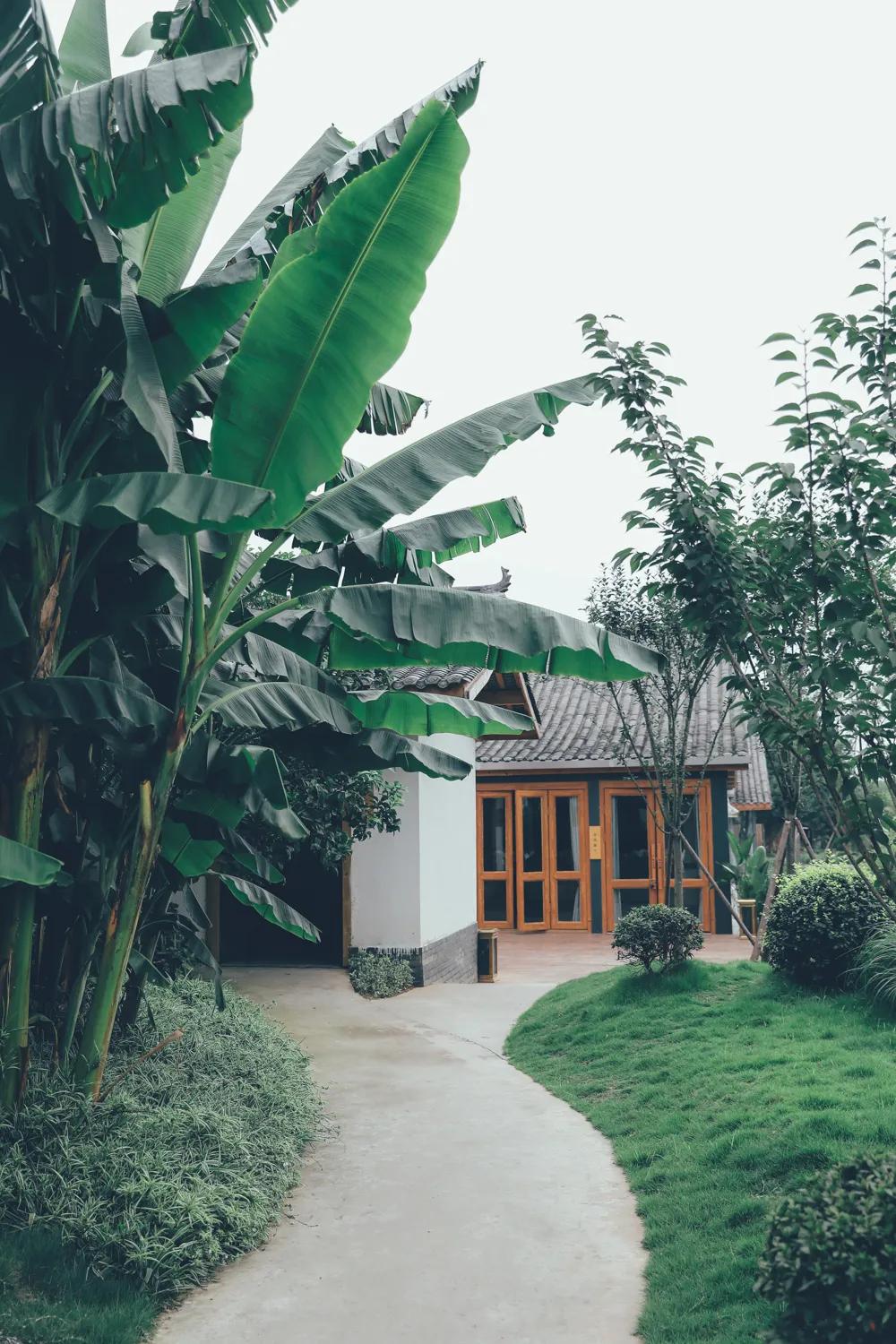 成都周末带孩子去哪玩好,成都周末带娃出去玩的地方推荐