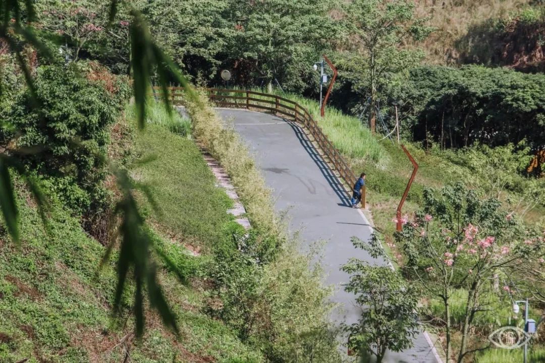 放假在深圳能去哪里玩,放假了可以去深圳的哪些地方玩