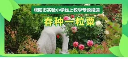 濮阳市实验小学线上教学专题报道：“春种一粒粟”第二十八期——非常“13+1”