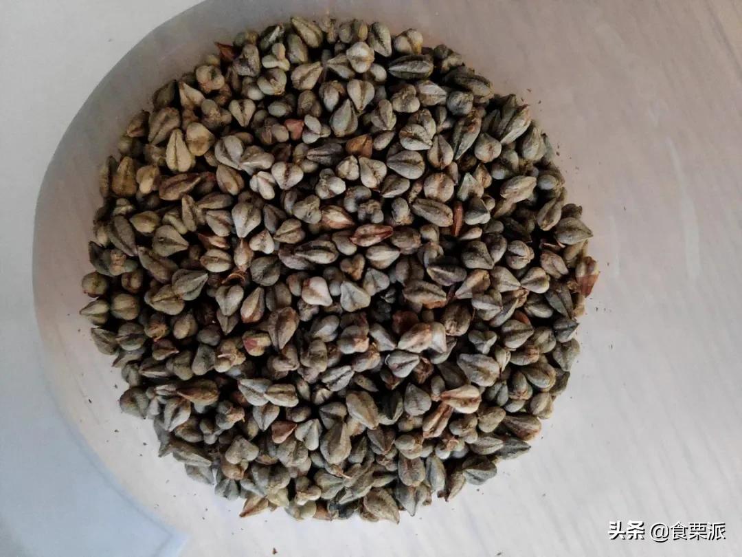 网上荞麦面真的减肥吗,荞麦面藕减肥真的假的