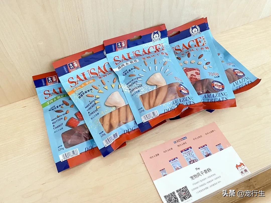 这家宠物快闪集市，怎么拍都好看，学会用宠物视角看世界