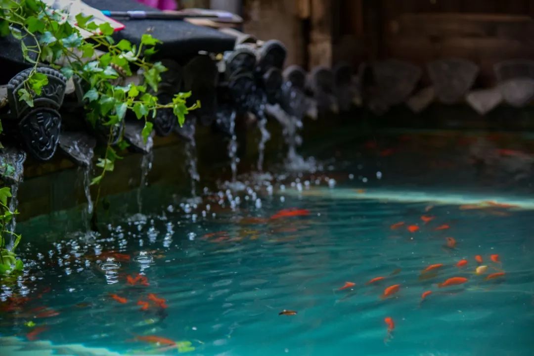 中国最美秋色篁岭晒秋,篁岭体验闻名遐迩的晒秋