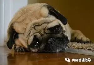 肩周炎的原因与锻炼方法