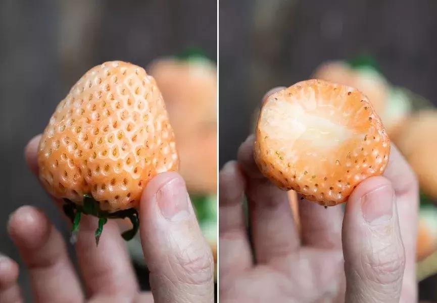 一下子吃了30颗草莓,吃了半斤草莓