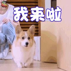 日本海洋幸福面膜如何使用,小仙女们面膜