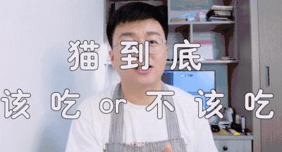 萌宠应该选什么标签,萌宠可以从哪个方面介绍