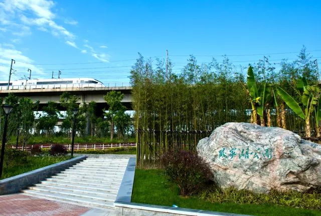 武汉市最热门的春游景点,2022武汉春游好去处